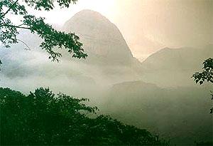 Voyage sur-mesure, Parc National Amboro